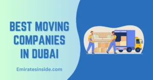 13 Best Movers in Dubai